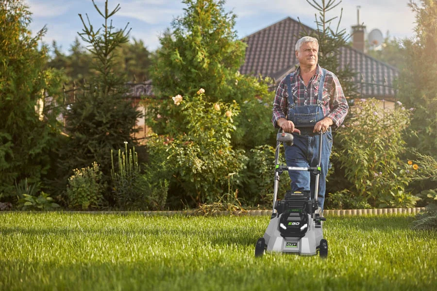 buy lawnmower